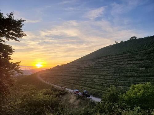 Foto - Grundst&uuml;ck zur Miete in Stuttgart