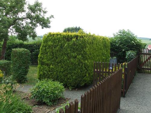 Foto - Grundst&uuml;ck zur Miete in Triptis