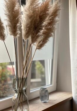 Foto - andere in Köln