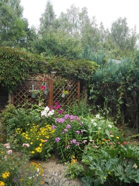 Foto - Grundst&uuml;ck in Chemnitz zur Miete