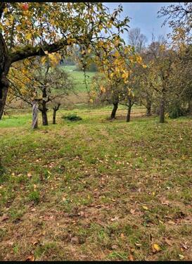 Foto - Obstwiese zu verpachten - 150,00&nbsp;EUR Kaltmiete, ca.&nbsp; 0,00&nbsp;m&sup2;