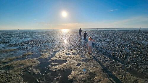 Foto - andere zur Miete in Dornum