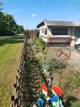 Foto - Einfamilienhaus zum Kaufen in Gifhorn