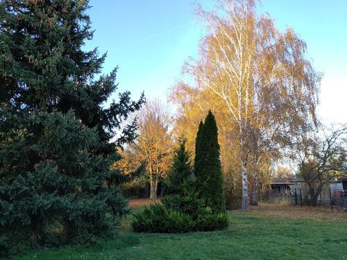 Foto - Grundst&uuml;ck in Markranstädt zur Miete