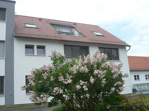 Foto - 2.5 Zimmer Dachgeschoßwohnung zur Miete in Altdorf