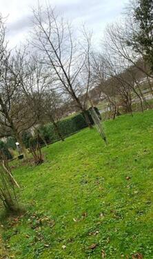 Foto - Einfamilienhaus in Lohmar zum Kaufen