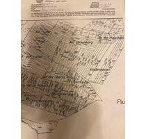 Garten muss viel geschehen ist aber kein Problem heut zutage. - Dachwig