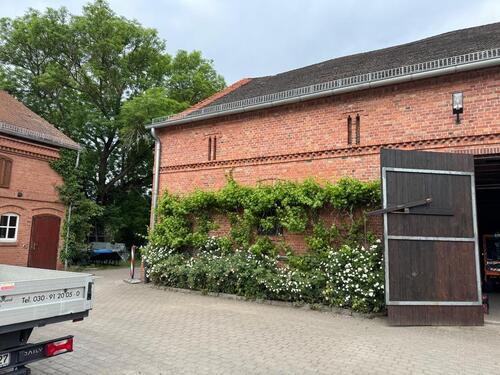 Foto - andere zur Miete in Berlin