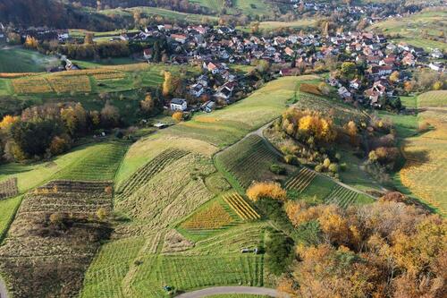 Foto - andere in Bühl