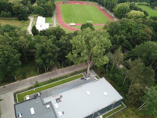 Foto - Ebenerdige Werkstatt, Halle, Lager für Handwerk oder Produktion