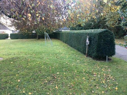 Foto - 5 Zimmer Einfamilienhaus zur Miete in Wildeshausen