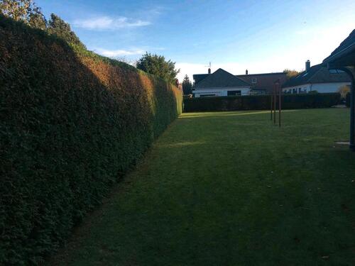 Foto - Einfamilienhaus in Wildeshausen zur Miete