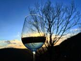 Foto - Urlaub im Weindorf an der Mosel