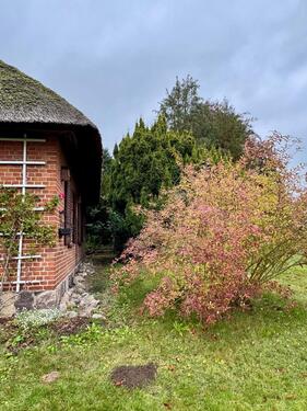 Foto - Einfamilienhaus in Eutin zur Miete