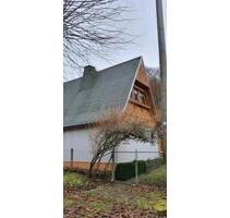 Ferienhaus Waldhütte Unterkunft Kelbra - Kelbra (Kyffhäuser)