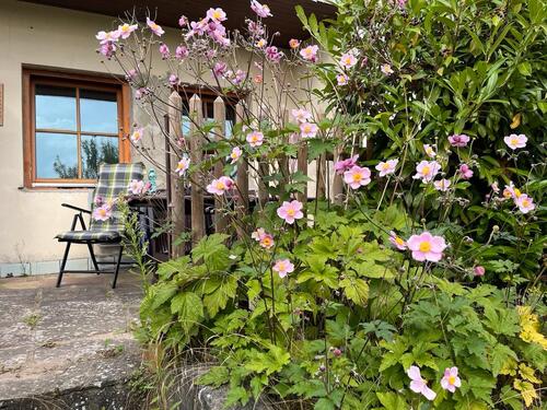 Foto - Grundst&uuml;ck zur Miete in Bad Sülze