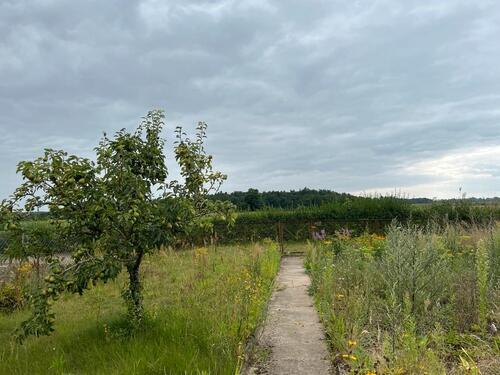 Foto - Grundst&uuml;ck in Bad Sülze