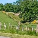 Foto - andere in Stadtkyll zur Miete