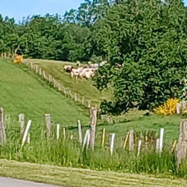 Foto - andere in Stadtkyll zur Miete