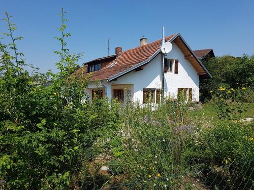 Foto - Einfamilienhaus zum Kaufen in Künzing