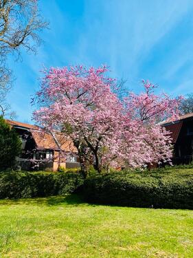 Foto - Wohnen in Oberneuland: Schöne Maisonettewohnung direkt im Grünen