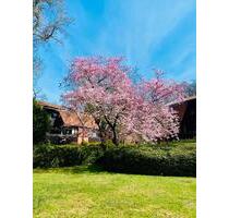 Wohnen in Oberneuland: Schöne Maisonettewohnung direkt im Grünen - Bremen