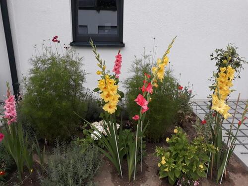 Foto - 6 Zimmer Einfamilienhaus in Karlsruhe