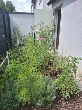 Foto - Einfamilienhaus in Karlsruhe zum Kaufen