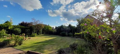 Foto - 4 Zimmer Doppelhaushälfte zur Miete in Wolfsburg