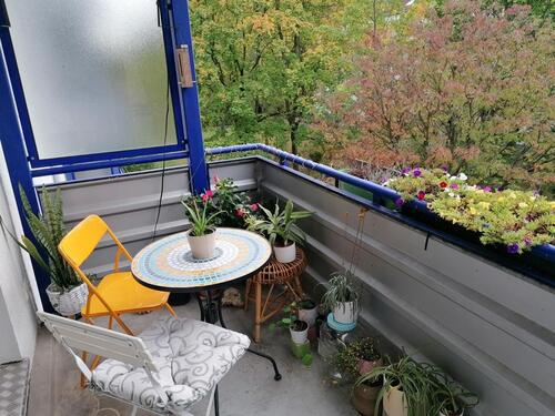 Foto - Helle, praktische und ruhige 3-Zi Wohnung ab 1. Februar zur Miete