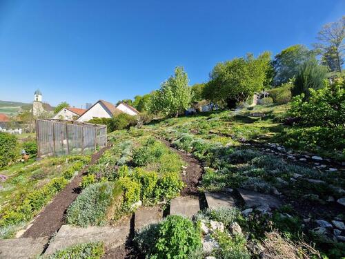 Foto - Gartengrundstück Gütle mit Hütte