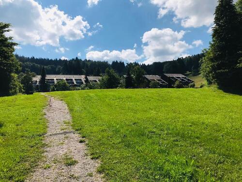 Foto - Schöne 1-Zimmer Ferienwohnung in Sasbachwalden-Brandmatt