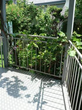 Foto - 2 Zimmer Etagenwohnung in Weiden in der Oberpfalz