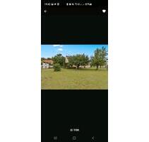 Zweifamilienhaus mit 1400qm Garten - Scheßlitz