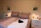 Foto - 10 Zimmer Einfamilienhaus in Wensin
