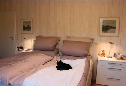 Foto - 10 Zimmer Einfamilienhaus in Wensin