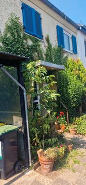 Foto - Einfamilien-Reihenmittelhaus - 270.000,00 EUR Kaufpreis,
