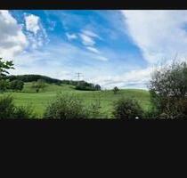 Einfamilienhaus in Ammensen - 1.558,00&nbsp;EUR Kaltmiete, ca.&nbsp; 209,00&nbsp;m&sup2; in Delligsen (PLZ: 31073)