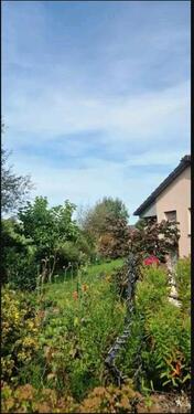 Foto - 11 Zimmer Einfamilienhaus zur Miete in Delligsen