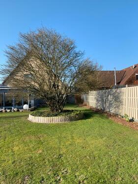 Foto - Mehrfamilienhaus, Wohnhaus in Tating zum Kaufen