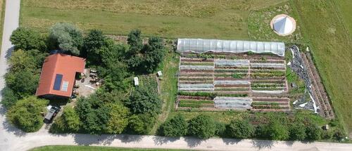 Foto - Marktgarten Market garden No-Dig zu verpachten