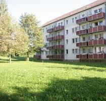 Wer hat da schlechte Laune? Sonnige 2-Zimmer-Wohnung - Chemnitz Altendorf