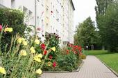 Foto - 2 Zimmer Etagenwohnung zur Miete in Chemnitz