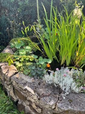 Foto - Grundst&uuml;ck in Gotha zur Miete