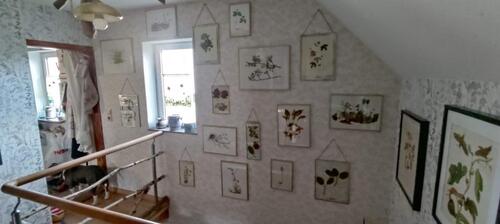 Foto - Bauernhaus, Landhaus zum Kaufen in Kranichfeld