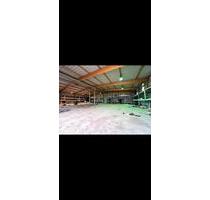 Halle, Büros, Lager, Kühlraum und LKW oder W.Wägen zu vermieten - Adelsdorf