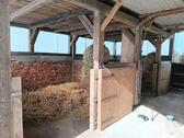 Foto - Bauernhaus, Landhaus in Klanxbüll zum Kaufen