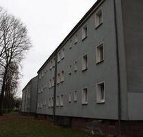 Hier schlägt besonders das Herz für Singles und Paare - Oberhausen Rothebusch