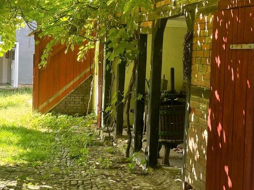 Foto - Einfamilienhaus in Apolda zur Miete