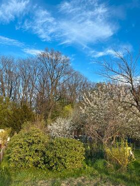 Foto - Kleingarten - 1.500,00&nbsp;EUR Kaltmiete, ca.&nbsp; 0,00&nbsp;m&sup2;